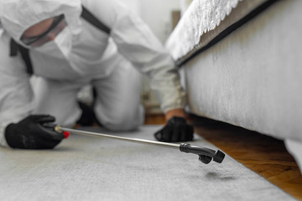 Professional Bed Bug Control technician working in East Porterville, CA