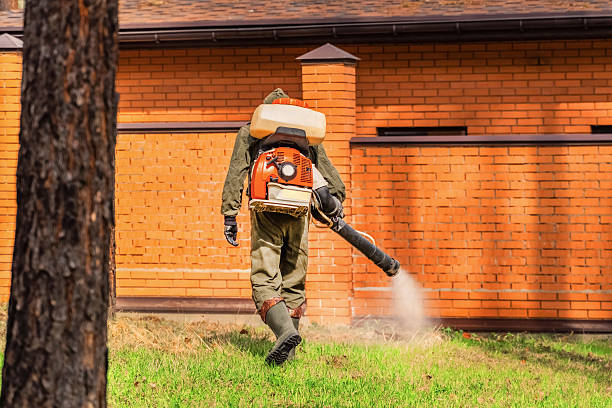 Trusted Mosquito Control service in East Porterville, CA - Nex Pest Control
